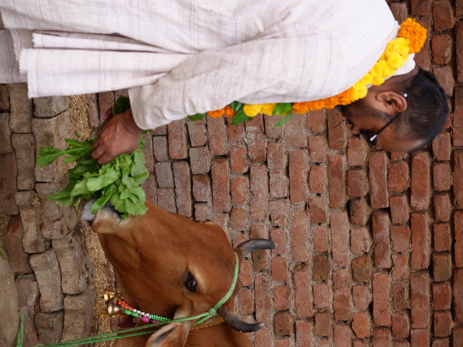  22 Gopashtami Radha kunda Govardhan 19.11.04